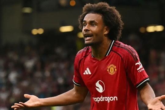 Zirkzee được khuyên rời MU tháng 1 để cứu sự nghiệp