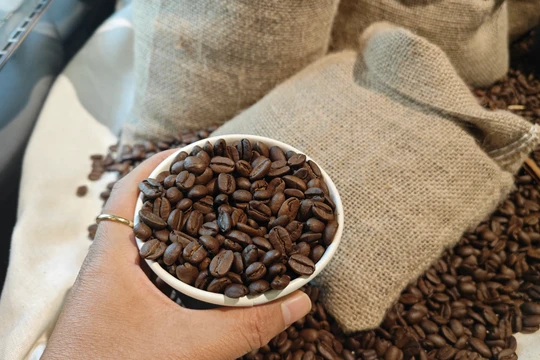 Giá cà phê hôm nay 5/11/2025: Tăng mạnh, khoảng trống xuất khẩu cà phê