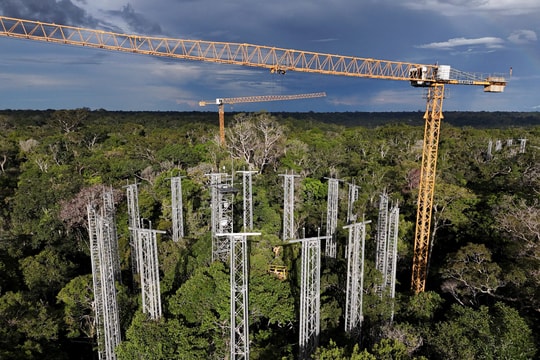 COP30: Tiếng gọi cấp bách từ Amazon