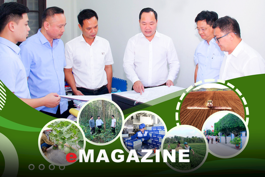 Chào mừng kỷ niệm 80 năm ngành Nông nghiệp và môi trường Việt Nam (14/11/1945 - 14/11/2025): Phát huy truyền thống, vươn tầm trong kỷ nguyên kinh tế xanh và chuyển đổi số