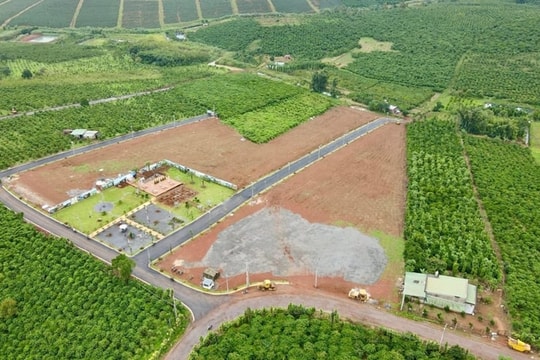 Năm 2025, loại đất nào được sử dụng kết hợp đa mục đích?