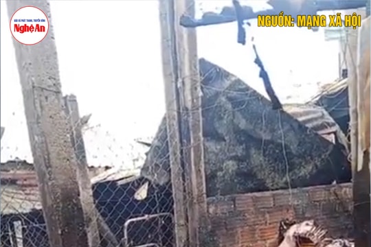 Gia Lai: Cháy chợ trong đêm, bà con tiểu thương khóc nghẹn nhìn tài sản bị thiêu rụi