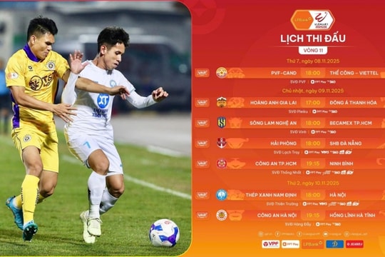 Vòng 11 V-League 2025/26: Ninh Bình đấu CA TP HCM