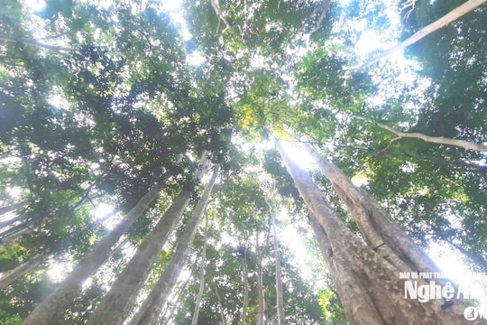 Thời tiết Nghệ An ngày 9/11: Mây thay đổi đến nhiều mây, có mưa rào rải rác