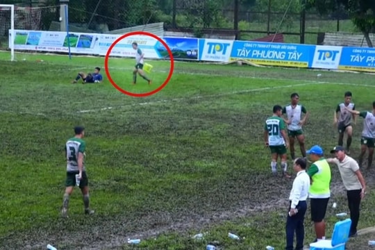 Cầu thủ STP Foods TP.HCM bị treo giò 3 trận vì mang ghế