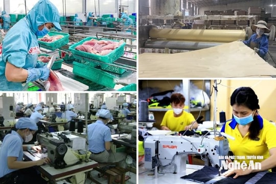 Góp ý vào văn kiện Đại hội XIV của Đảng: Kinh tế tư nhân là một động lực quan trọng nhất của nền kinh tế