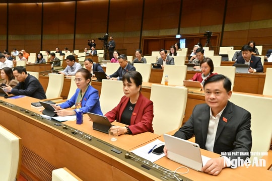 Quốc hội thảo luận về 4 dự án luật trong ngày làm việc thứ 19, Kỳ họp thứ 10