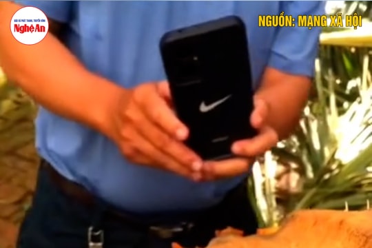 Chủ nhân cây dừa bị "tôn bay chém đứt thân" xác nhận sự thật khủng khiếp của bão số 13