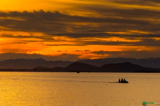 Trân trọng sự sống