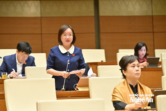 Đại biểu Quốc hội đoàn Nghệ An nêu bất cập khi phí bảo hiểm tiền gửi của quỹ tín dụng bằng ngân hàng thương mại