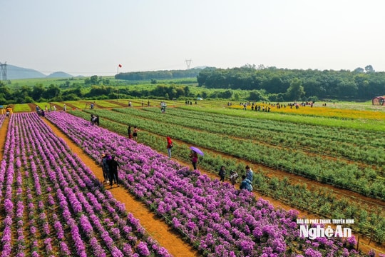 Phát triển chuỗi giá trị nông sản đặc thù gắn với du lịch nông nghiệp bền vững ở miền Tây Nghệ An