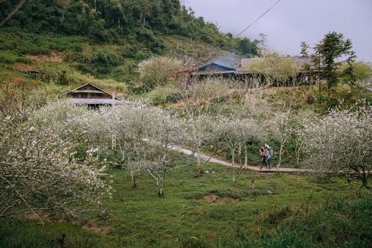 Thời tiết Nghệ An ngày 16/11: Mưa nhỏ vài nơi, trời rét