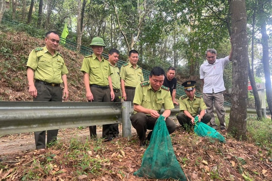 Nghệ An tiêu hủy hơn 59 nghìn mét lưới bẫy, thả 460 cá thể chim hoang dã về môi trường tự nhiên