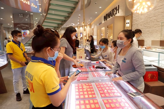 Giá vàng hôm nay 19/11/2025: Bảng giá vàng SJC ACB, vàng nhẫn trong nước, vàng thế giới