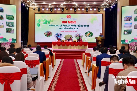 Vụ Xuân 2026, Nghệ An phấn đấu đạt trên 700.000 tấn lương thực