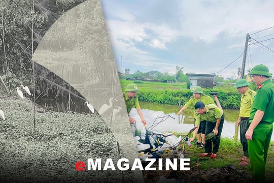 Đấu tranh nạn săn bắt chim trời: Đã tạo chuyển biến tích cực