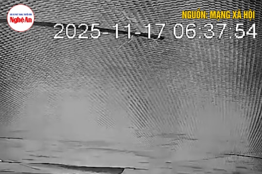 Kinh hoàng khoảnh khắc đồi sạt lở như thác ở Đắk Lắk, người dân tháo chạy