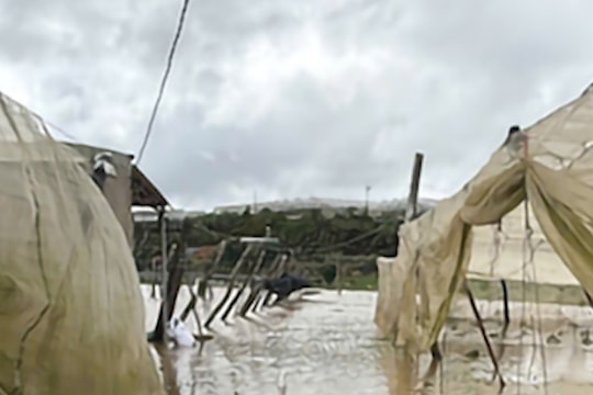 Chống dòng lũ tràn vào trang trại: Chủ trại cá tầm bị nước cuốn trôi mất tích