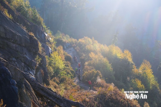 Thời tiết Nghệ An ngày 22/11: Trời rét đậm, nhiệt độ có nơi dưới 14 độ C