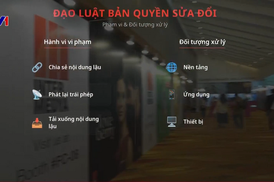 Toàn cảnh cuộc chiến chống vi phạm bản quyền kỹ thuật số