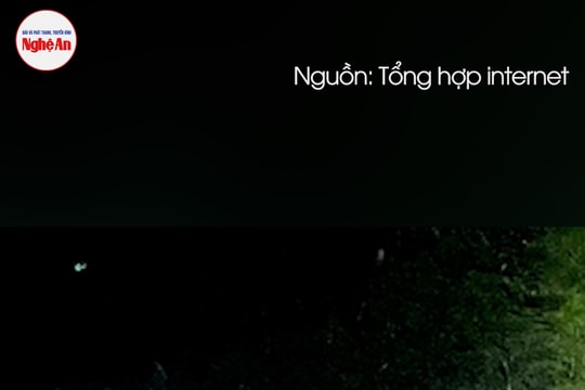 Tìm thấy nam tài xế bị lũ cuốn trôi ở Quảng Trị cách hiện trường khoảng 30km