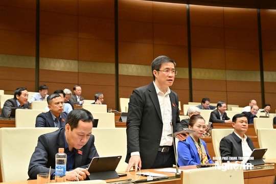 Đại biểu Quốc hội: Cơ quan báo chí phải chịu chi phí sản xuất nhưng không được chia sẻ doanh thu tương xứng