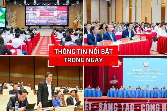 Nghệ An: Thông tin nổi bật ngày 24/11