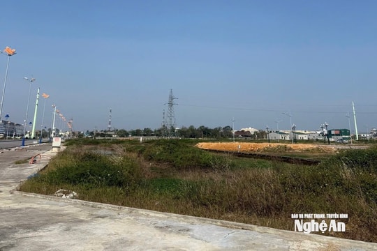 Cận cảnh lô đất "hoa hậu" giá 12 tỷ đồng tại Đô Lương: Bám đường 60m, định vị thương mại