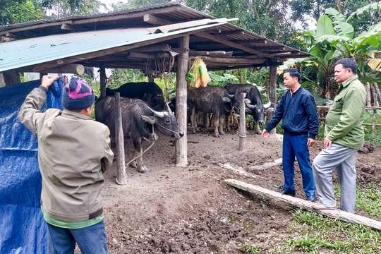 Thời tiết Nghệ An ngày 12/1: Ngày nắng hanh, đêm và sáng sớm trời rét đậm, vùng núi rét hại