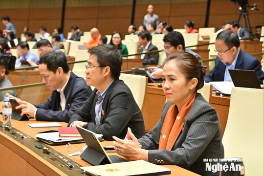 Quốc hội thông qua 4 dự thảo luật trong ngày làm việc thứ 29, Kỳ họp thứ 10