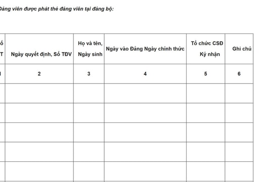 Tải Mẫu Sổ phát thẻ đảng viên mới nhất 2025 (mẫu 8-TĐV)
