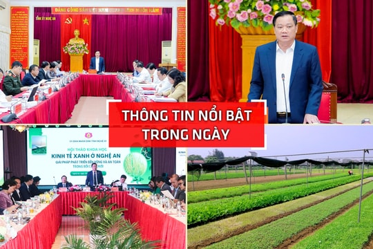 Nghệ An: Thông tin nổi bật ngày 26/11