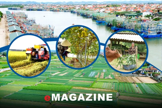 Hoàn thiện chính sách, tháo nút thắt cho bảo hiểm nông nghiệp