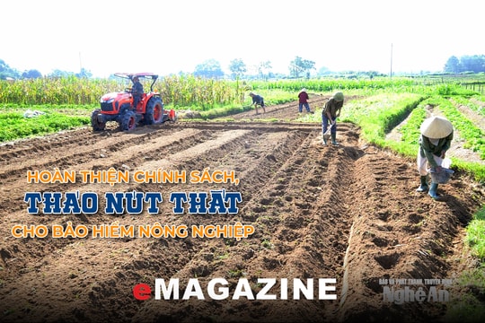 Hoàn thiện chính sách, tháo nút thắt cho bảo hiểm nông nghiệp - Bài 1: Lá chắn bảo vệ sản xuất nông nghiệp