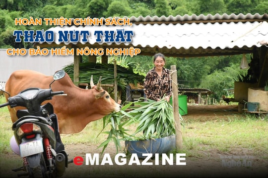 Hoàn thiện chính sách, tháo nút thắt cho bảo hiểm nông nghiệp - Bài 2: Vì sao nông dân, doanh nghiệp chưa mặn mà?