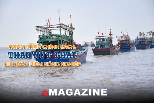 Hoàn thiện chính sách, tháo nút thắt cho bảo hiểm nông nghiệp - Bài 3: Gỡ khó cho bảo hiểm tàu cá