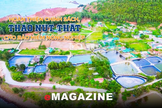 Hoàn thiện chính sách, tháo nút thắt cho bảo hiểm nông nghiệp - Bài cuối: Giải pháp kích hoạt bảo hiểm, bảo vệ "tam nông"