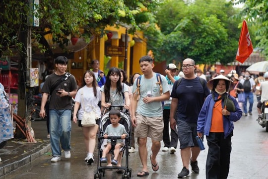 Việt Nam: du lịch theo mùa và tour trải nghiệm mới
