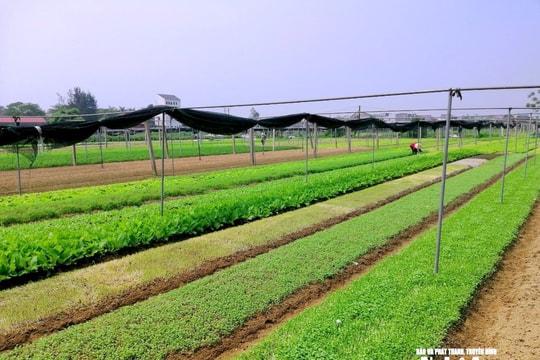 Thời tiết Nghệ An ngày 30/11: Ngày trời nắng, gió Đông Bắc cấp 2 – cấp 3, đêm và sáng sớm trời rét