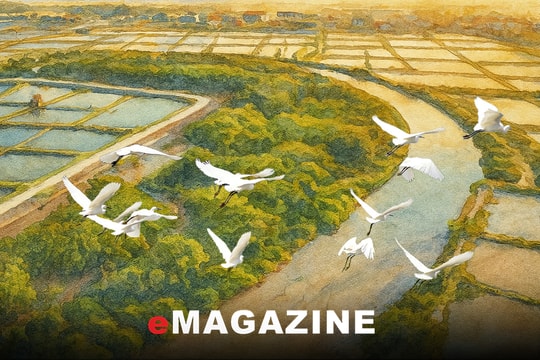 Bình yên cho những cánh chim trời...