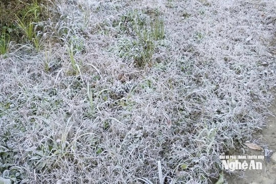 Nhiệt độ xuống dưới 0°C, băng giá xuất hiện tại xã Na Ngoi