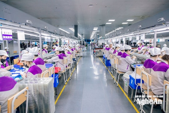 Tăng luồng xanh trong thông quan hàng hóa để hỗ trợ doanh nghiệp