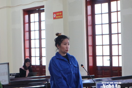 Vận chuyển gần 3 yến ma túy, thiếu phụ lĩnh án chung thân