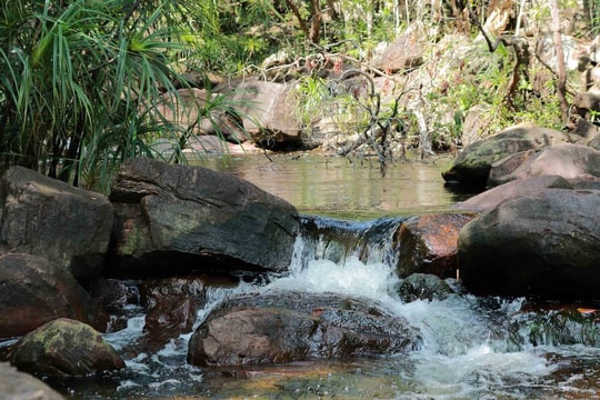 Suối Tiên Phú Quốc: trekking xuyên rừng, tắm suối mát lạnh