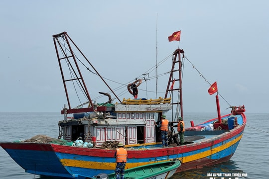 Chính phủ chỉ đạo tiếp tục hành động rốt ráo để gỡ "thẻ vàng Châu Âu" về thuỷ sản
