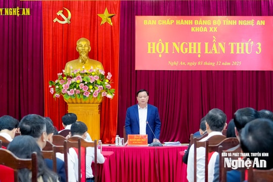 Ban Chấp hành Đảng bộ tỉnh họp bàn nhiều nội dung quan trọng, quyết định cả nhiệm kỳ
