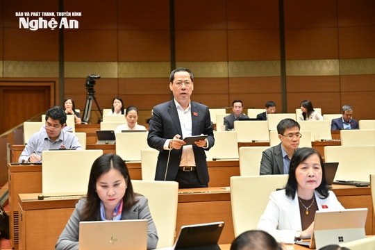 Đại biểu nêu nguyện vọng cấp thiết của cử tri vùng cao Nghệ An gửi gắm đến Quốc hội, Chính phủ