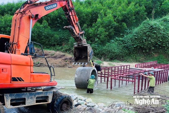 Công ty Lâm Nông nghiệp Sông Hiếu tập trung sửa đường lâm nghiệp, trồng lại rừng bị gãy đổ
