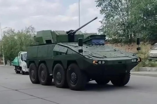 APC Trung Quốc giống Boxer Đức xuất hiện ở Nội Mông