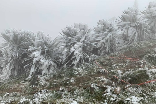 Không khí lạnh tăng cường: Bắc Bộ rét dưới 12 độ C, miền Trung có mưa lớn